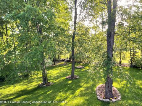 711 Pine Ridge Dr, Dewitt, MI 48820 photo 34