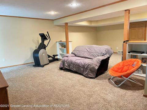 711 Pine Ridge Dr, Dewitt, MI 48820 photo 28