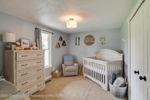 5490 W Howe Rd, Dewitt, MI 48820 photo 54
