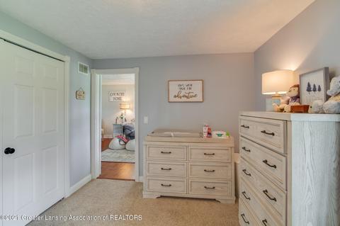 5490 W Howe Rd, Dewitt, MI 48820 photo 53