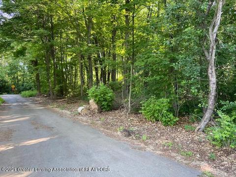 15560 Outer Dr, Bath, MI 48808 photo 6