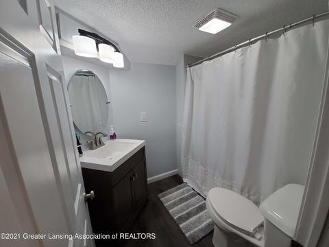 303 W Scott St, Grand Ledge, MI 48837 photo 15