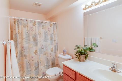 3190 Crofton Dr, Dewitt, MI 48820 photo 34