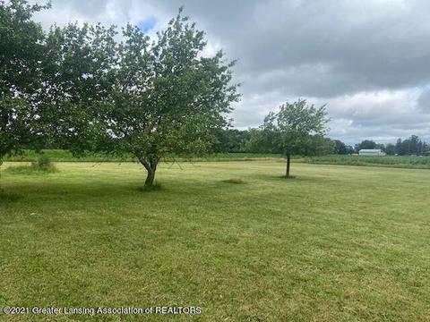 9703 S Norris Rd, Dewitt, MI 48820 photo 24