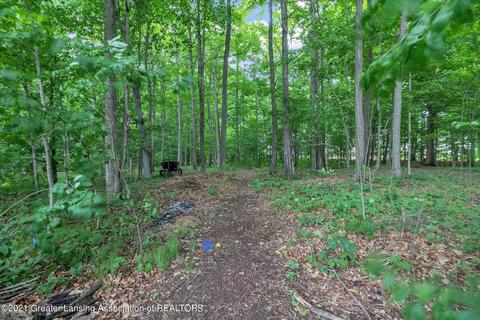 11523 Hidden Spring Trl, Dewitt, MI 48820 photo 58