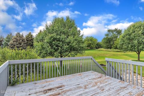 3172 Traci Ln, Dewitt, MI 48820 photo 46