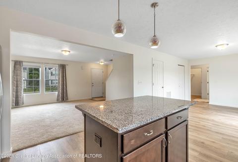 1112 River Oaks Dr, Dewitt, MI 48820 photo 14