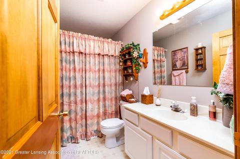 8923 Jacaranda Dr, Dimondale, MI 48821 photo 15