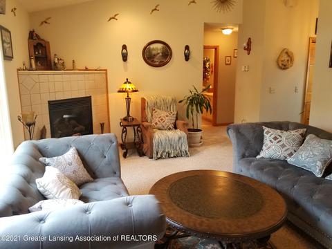 8923 Jacaranda Dr, Dimondale, MI 48821 photo 6