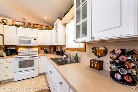 8923 Jacaranda Dr, Dimondale, MI 48821 photo 7