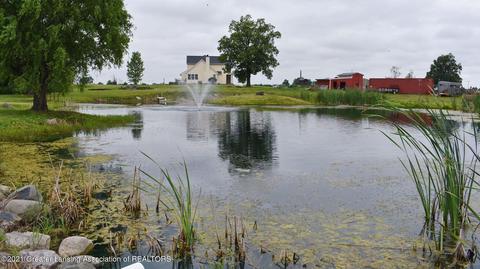 10253 W Howe Rd, Eagle, MI 48822 photo 31