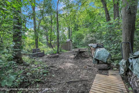 3922 Norway Pine Dr, Dewitt, MI 48820 photo 64
