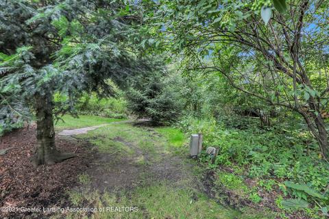 3922 Norway Pine Dr, Dewitt, MI 48820 photo 63