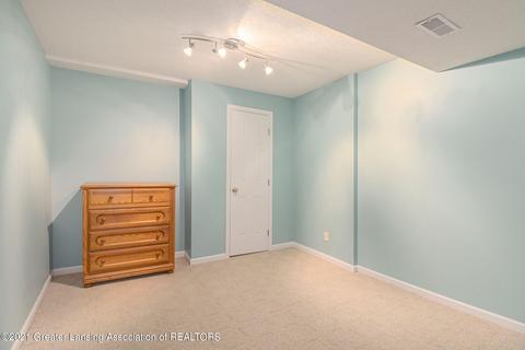 11573 Hidden Spring Trl, Dewitt, MI 48820 photo 41