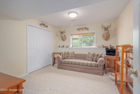 11573 Hidden Spring Trl, Dewitt, MI 48820 photo 43