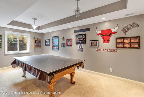 11530 Hidden Spring Trl, Dewitt, MI 48820 photo 43