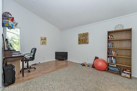 1189 Academic Way, Haslett, MI 48840 photo 14