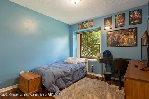 812 W Amesbury Dr, Dewitt, MI 48820 photo 19