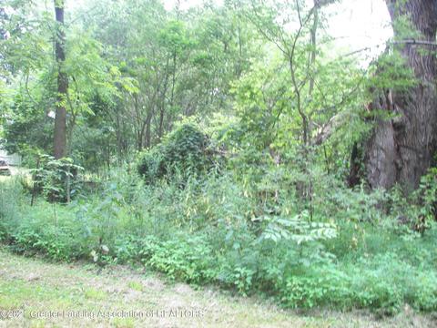 1439 W Clark Rd, Dewitt, MI 48820 photo 3