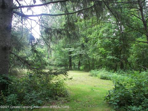 1439 W Clark Rd, Dewitt, MI 48820 photo 2