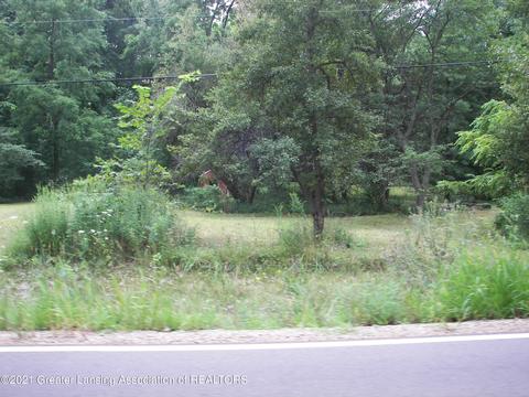 1439 W Clark Rd, Dewitt, MI 48820 photo 5