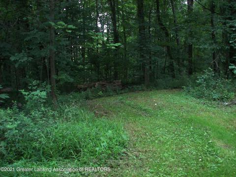 1439 W Clark Rd, Dewitt, MI 48820 photo 4