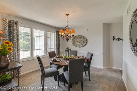 3330 Hollow Spring Dr, Dewitt, MI 48820 photo 24