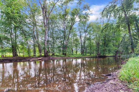 113 Rivergate Ln, Dewitt, MI 48820 photo 48