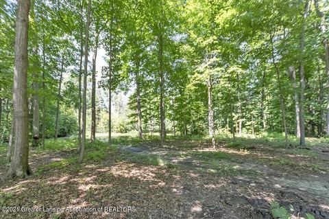 856 Stillman Rd, Mason, MI 48854 photo 36