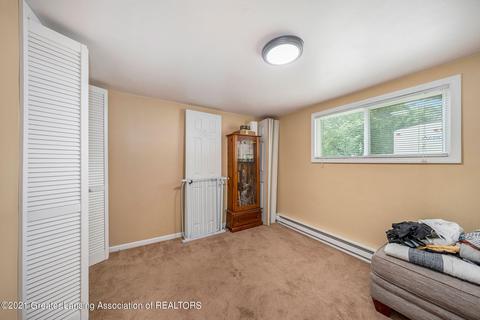 121 N Maple St, Ithaca, MI 48847 photo 15