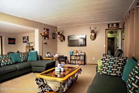 8482 Willow Dr, Lyons, MI 48851 photo 1