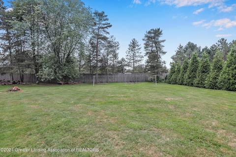 13070 Turner Rd, Dewitt, MI 48820 photo 22