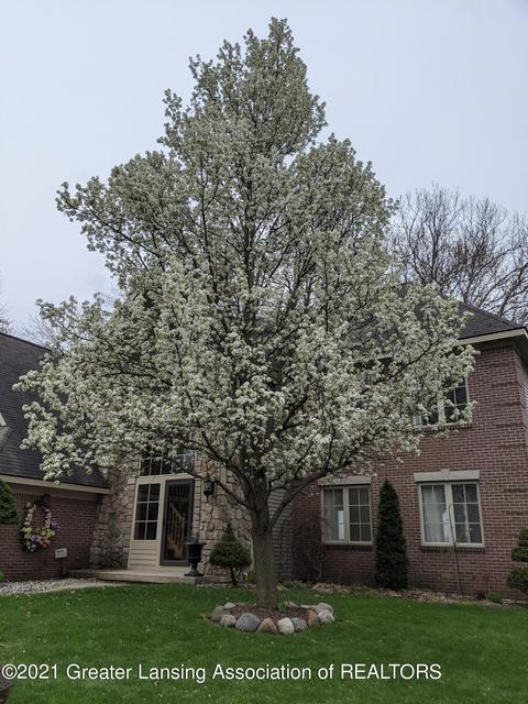 6395 E Reynolds Rd, Haslett, MI 48840 photo 64