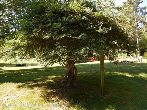 13330 Wood Rd, Bath, MI 48808 photo 40