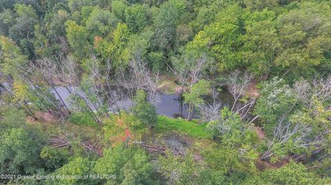 10561 S Chandler Rd, Dewitt, MI 48820 photo 45