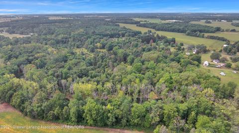 10561 S Chandler Rd, Dewitt, MI 48820 photo 44