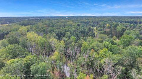 10561 S Chandler Rd, Dewitt, MI 48820 photo 46