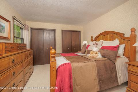 9224 Warner Rd, Haslett, MI 48840 photo 24