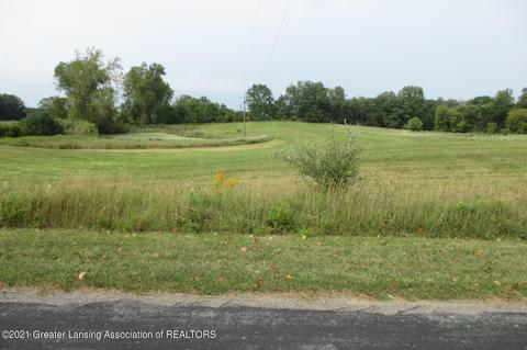 0 Horn Lane Parcel A, Charlotte, MI 48813