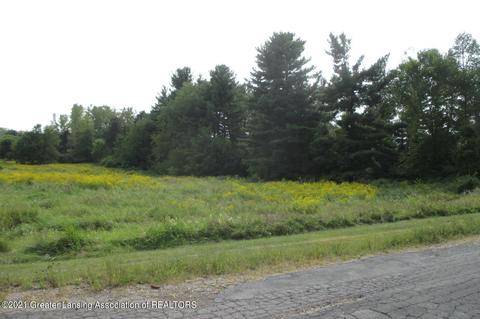 0 Horn Lane Parcel I, Charlotte, MI 48813