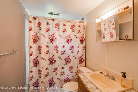 819 Pine St, Dewitt, MI 48820 photo 21