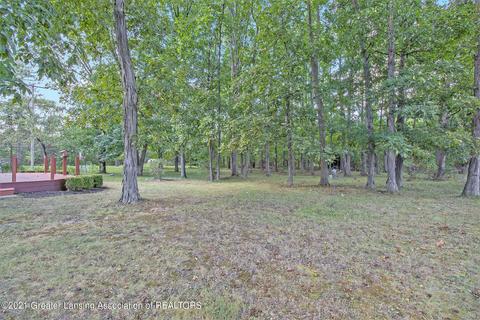 9301 E M 21, Ovid, MI 48866 photo 25