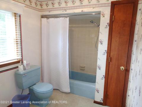 13002 Shadybrook Ln, Dewitt, MI 48820 photo 19
