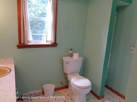 13002 Shadybrook Ln, Dewitt, MI 48820 photo 13
