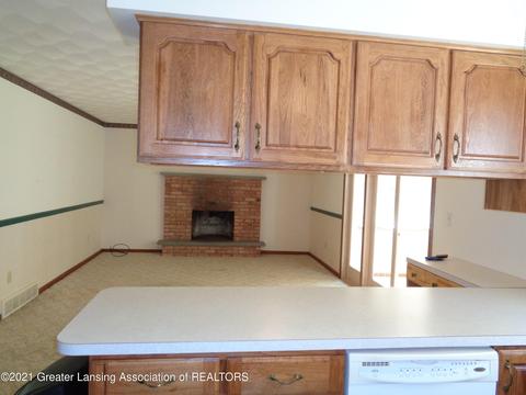 13002 Shadybrook Ln, Dewitt, MI 48820 photo 5