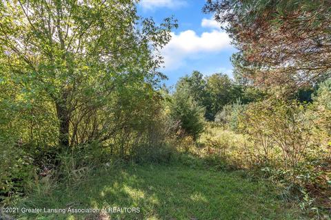 2082 E Alward Rd, Dewitt, MI 48820 photo 34