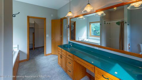 2904 Ohanlon Ct, Williamston, MI 48895 photo 22