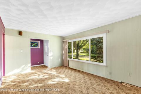 519 Iris Ave, Lansing, MI 48917 photo 5