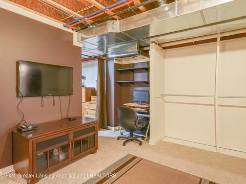 1221 Lobelia Ln, Dewitt, MI 48820 photo 49