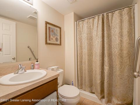 1221 Lobelia Ln, Dewitt, MI 48820 photo 46